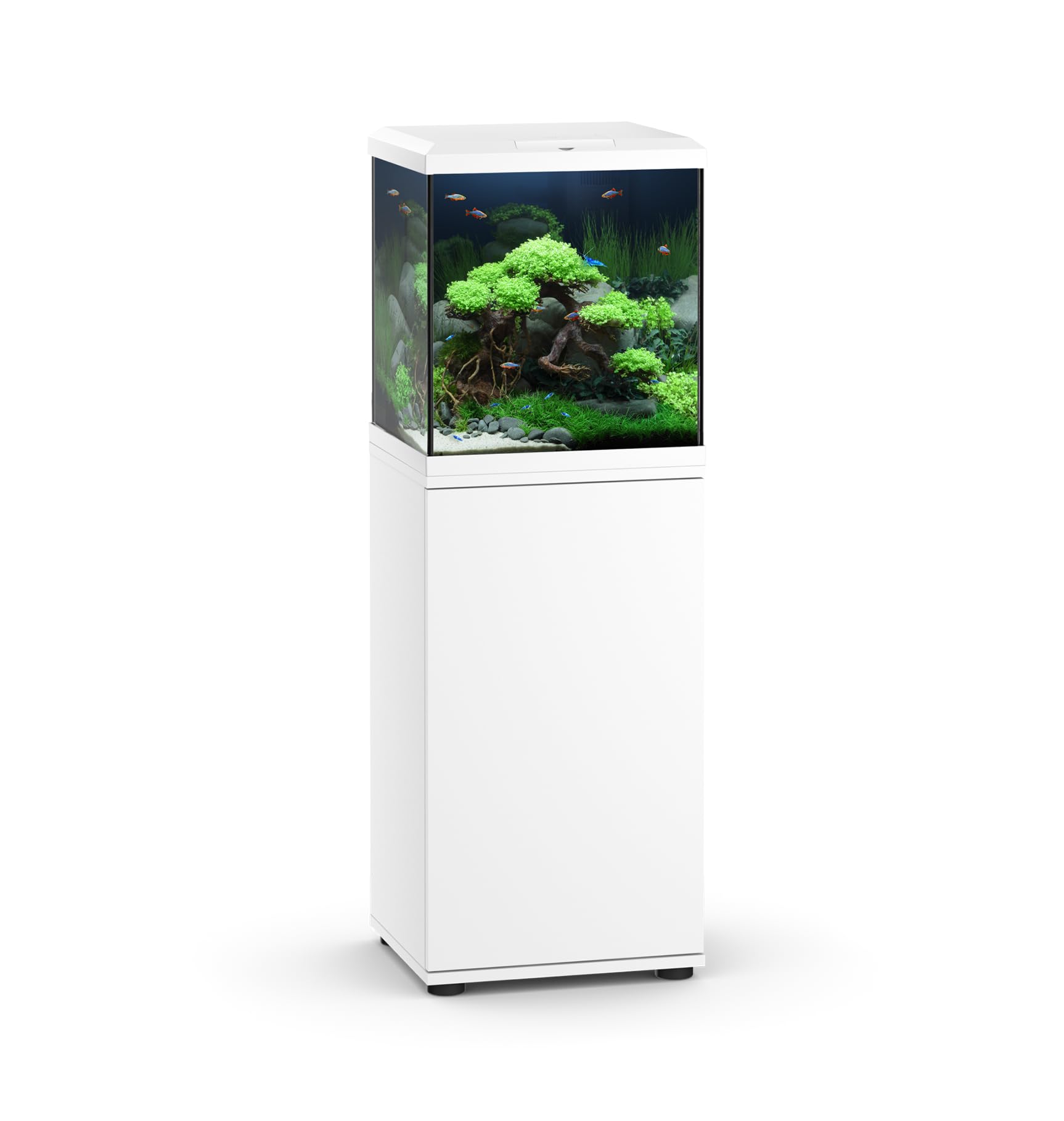 JUWEL Aquarium VIO Cube 54 Kombination Weiß Premium-Bundle