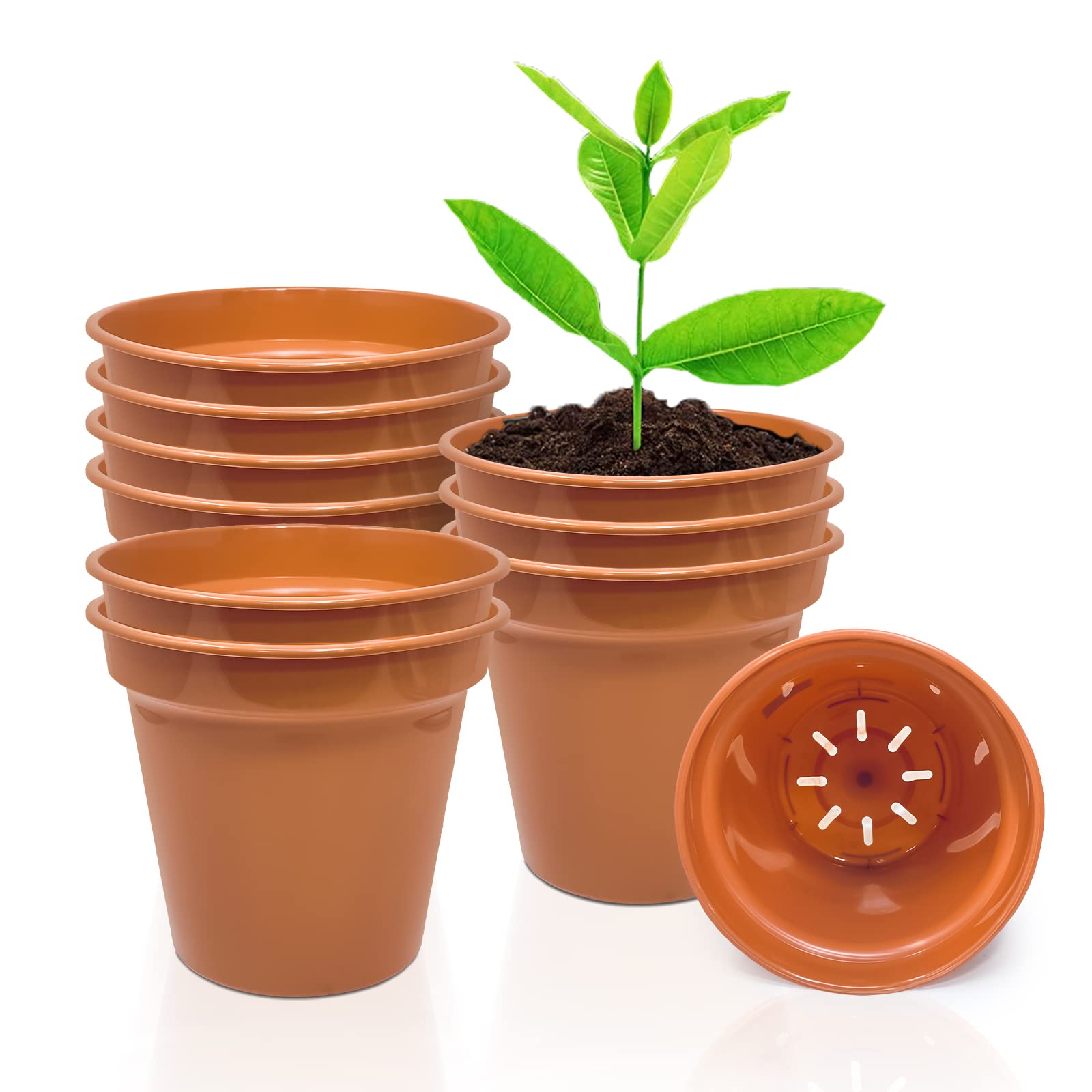 Winsome Pot (3 Inch- Pack Of 10) 3 Inch (Pack Of 10) Terracotta Plant Pot With Drainage Holes, Indoor & Outdoor Plant Pot, Decorative Planter For Herbs, Flowers, Succulents & Repotting