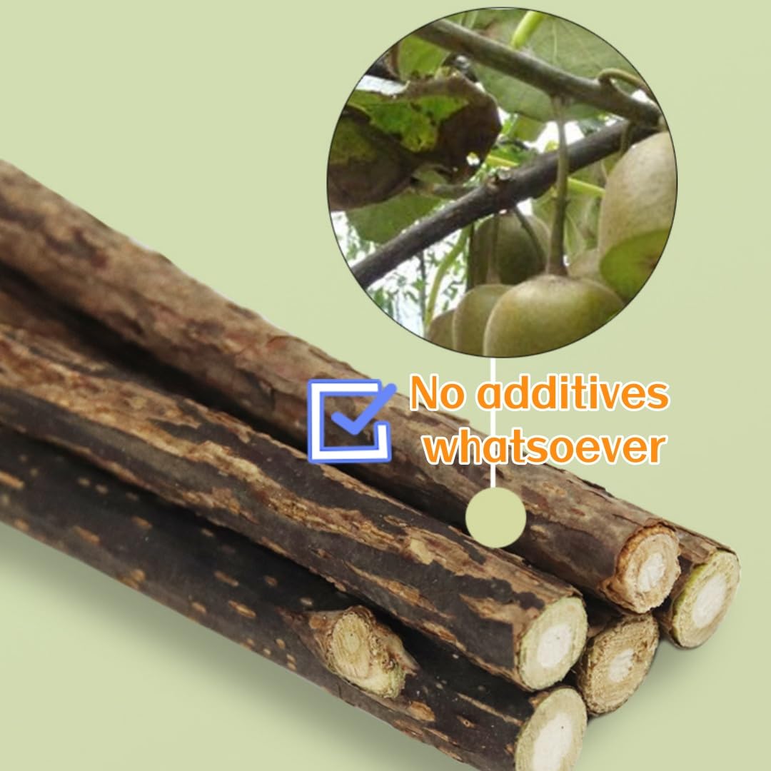 Bâtonnets d'Herbe à Chat Matatabi - 40pcs Naturels Bois Grincement de Dents