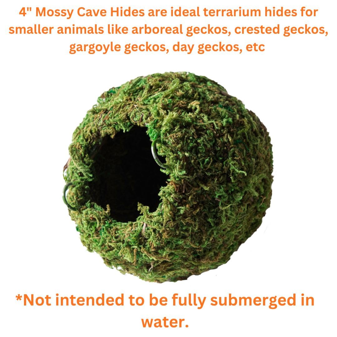 Galápagos (05346) Mossy Cave Hide, 4", Green - image 3