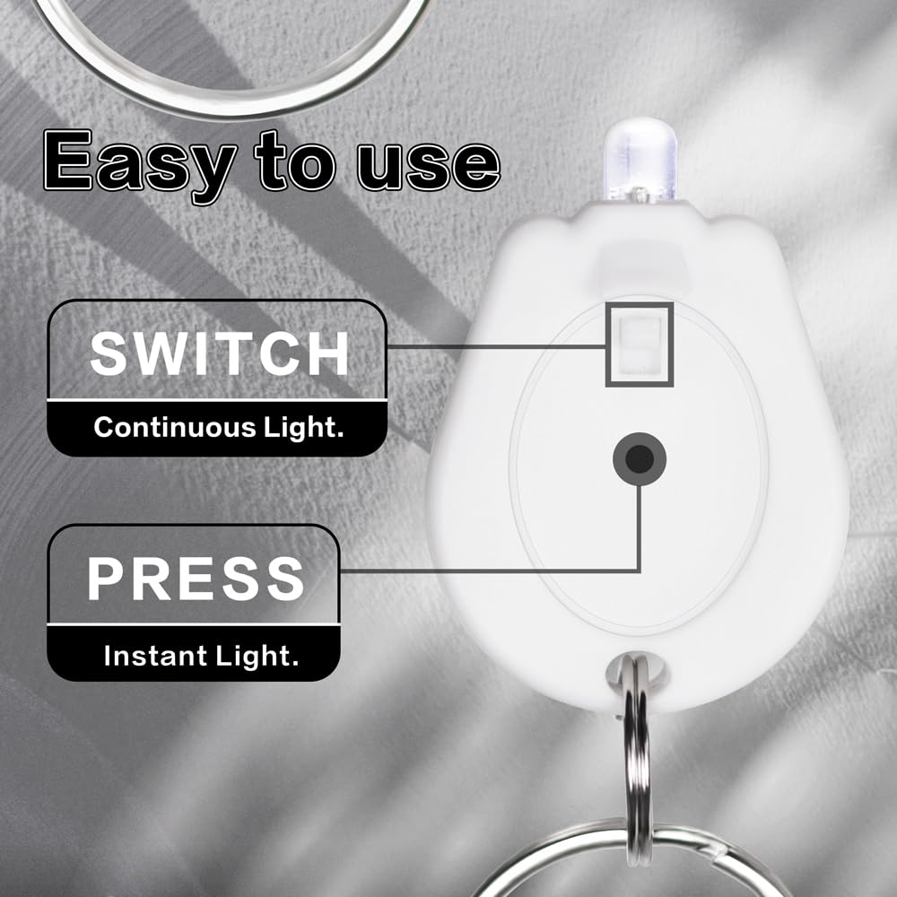 Mini LED Keyring Lights Ultra Bright Portable RaySoar 10 Pack Mini LED ...