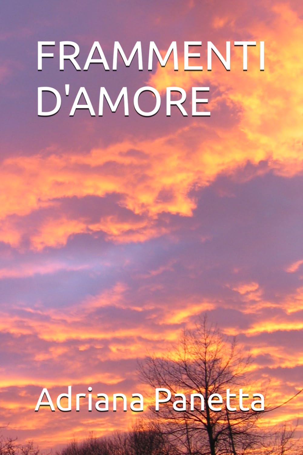 FRAMMENTI D'AMORE