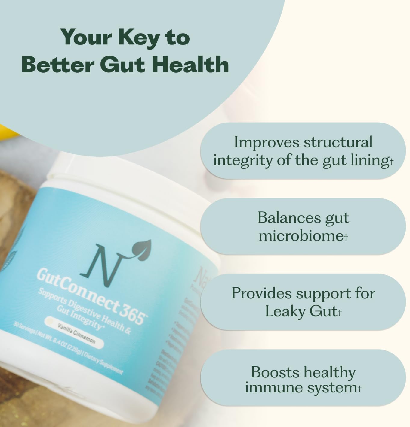GutConnect 365 Gut Health Superfood Powder | Formulated With Slippery Elm Bark & L Glutamine | Vegan Certified | Allergen Free | Non-GMO | Soy Free | Made in the USA | 30 Servings – Vanilla Cinnamon