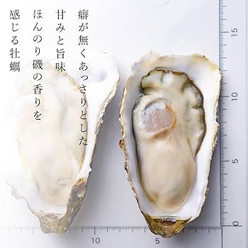 Amazon.co.jp: 生食用 真牡蠣 宮城県雄勝産『ボクのかき』 36個+