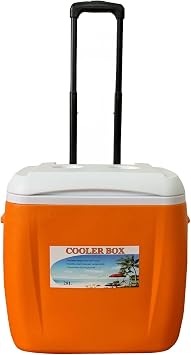 YYW Cool Box | Large Capacity Ice Box Cool Box | Camping Cool Box Food Insulated | Accessories for Travel, Picnics and Festivals, Camping, Car | Cool Box Bag