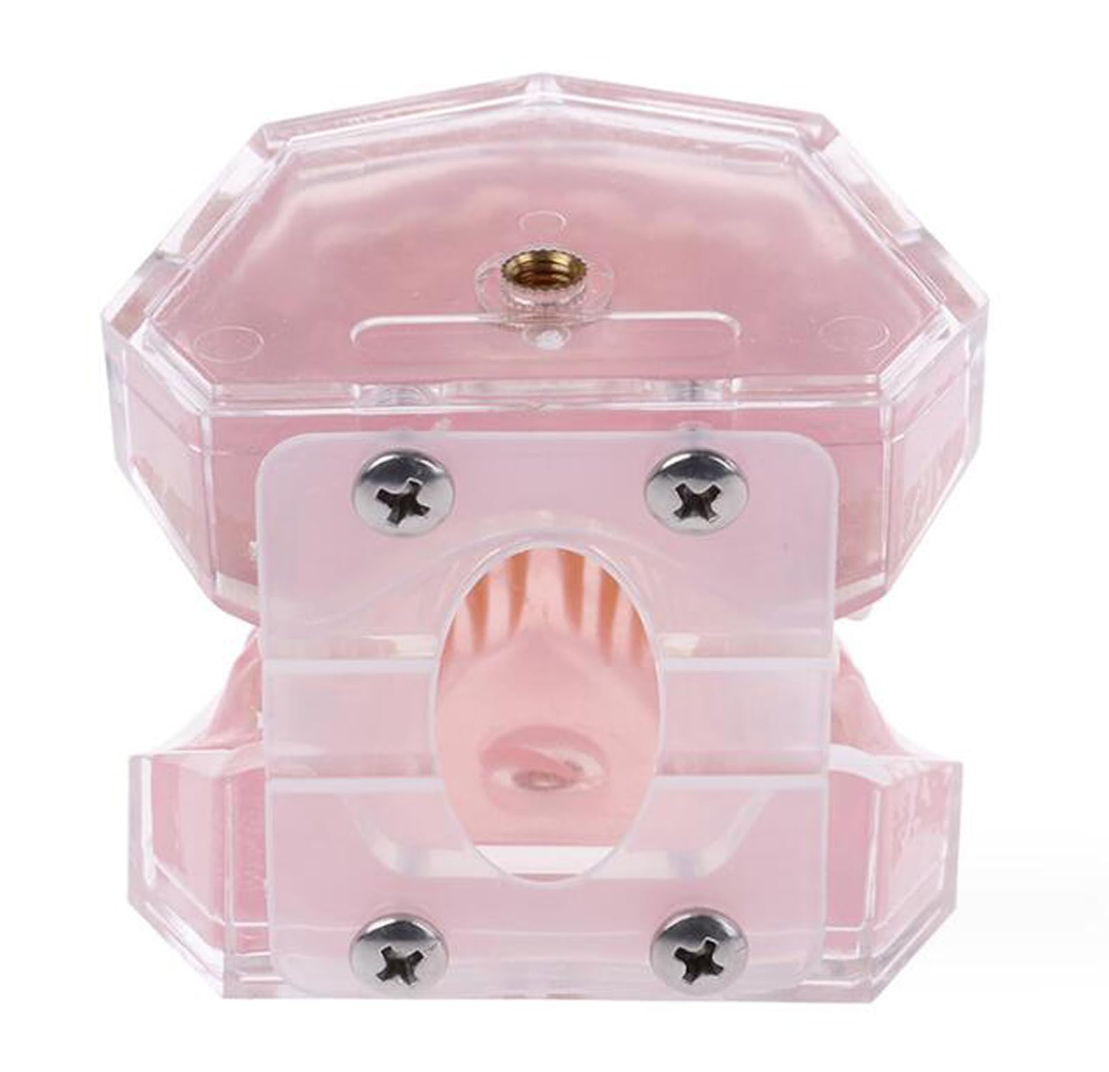 Modelo dental con dientes extraíbles, bandeja suave estándar, modelo dental extraíble, herramienta de enseñanza de materiales de laboratorio dental ideal