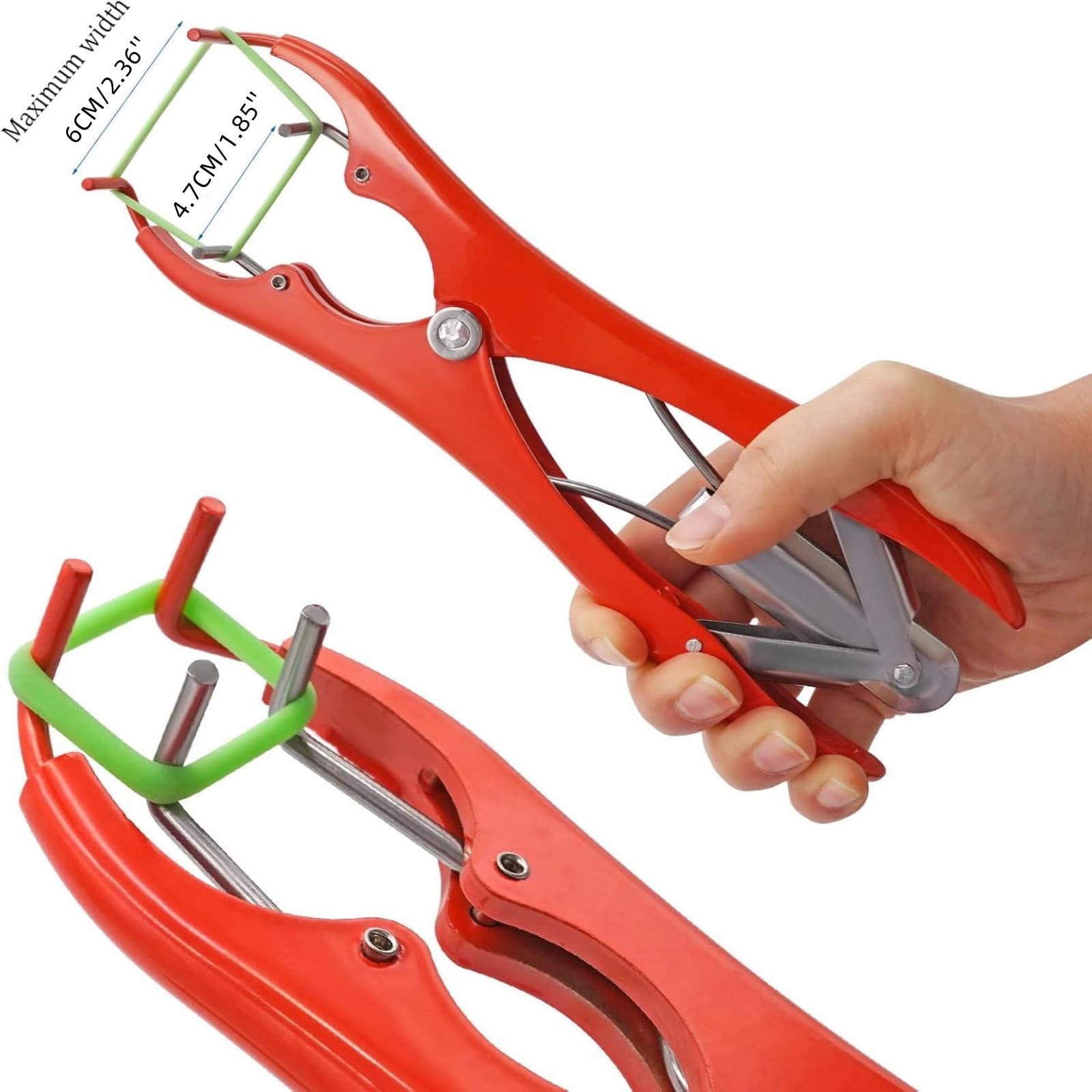 Pinza per castrazione di animali con 100 anelli di gomma, pinza di espansione per bovini, pecora, maiale, castrazione, pinze per dispositivi veterinari (rosso)