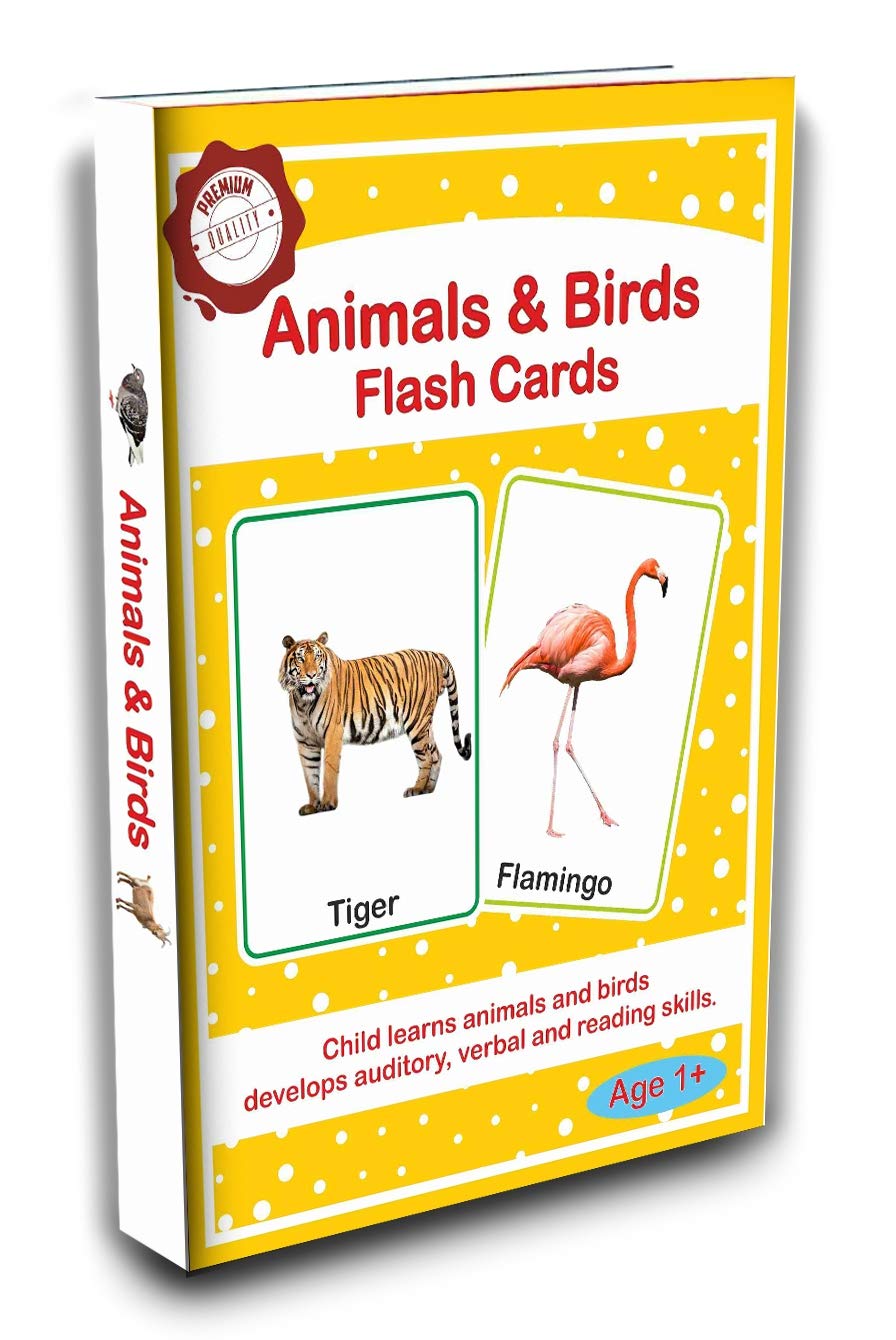 meraki babies large size flash cards of animals & birds for kids - 30 cards-Orange (B0843P7J7T) Amazon Price History, Amazon Price Tracker