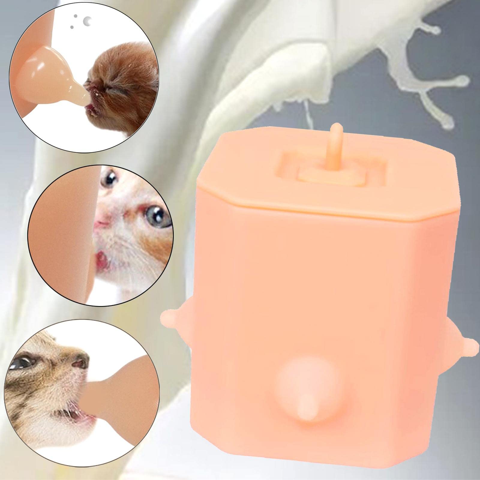 Mangeoire à lait en silicone pour chaton et chiot - 4 tétons - N° 4