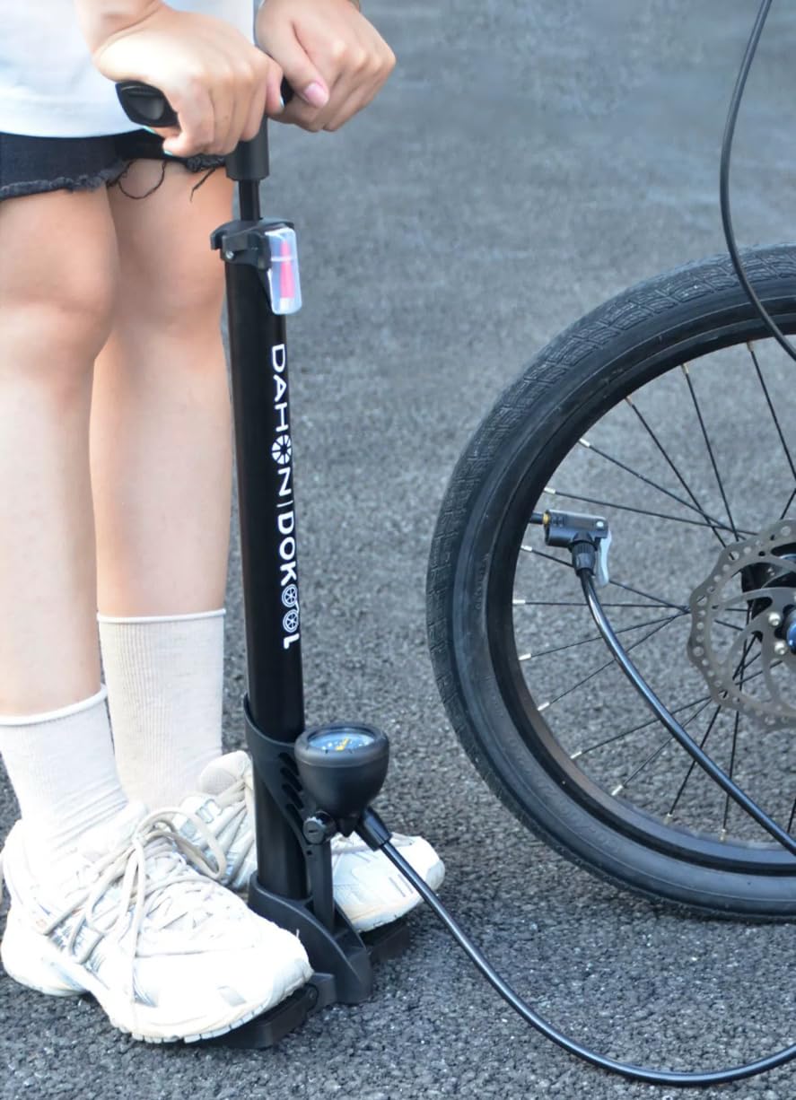 ダホン　SPEED P8 室内保管　使用少ない　シートポスト純正空気入れ ダホン SPEED P8 室内保管 使用少ない シートポスト純正空気入れ