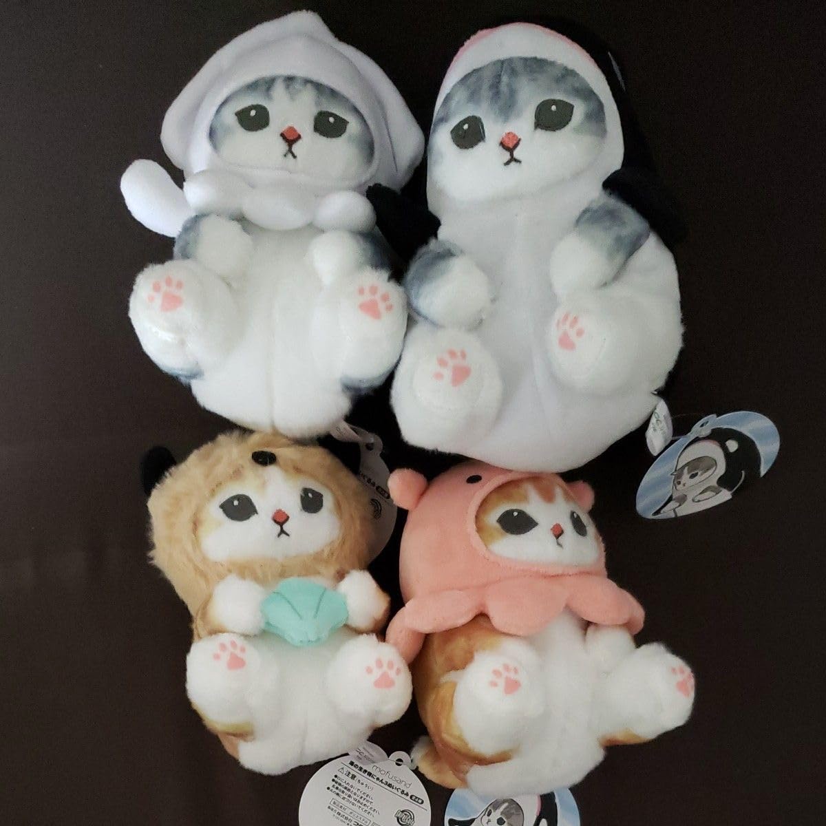 mofusand 海の生き物にゃん3　ぬいぐるみ　コンプリートセット mofusand 海の生き物にゃん3ぬいぐるみ｜タイトーの6月の