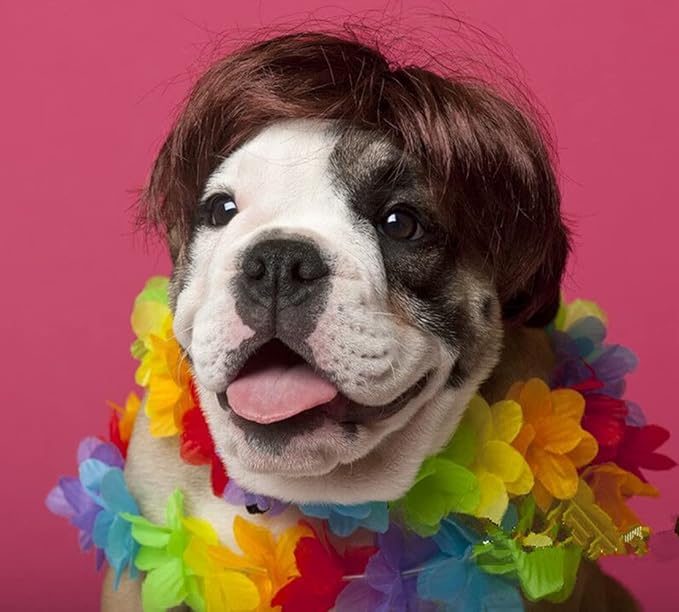 Disfraz Peluca para Perro MESINURS Talla S Color Negro Marrón miniatura 7