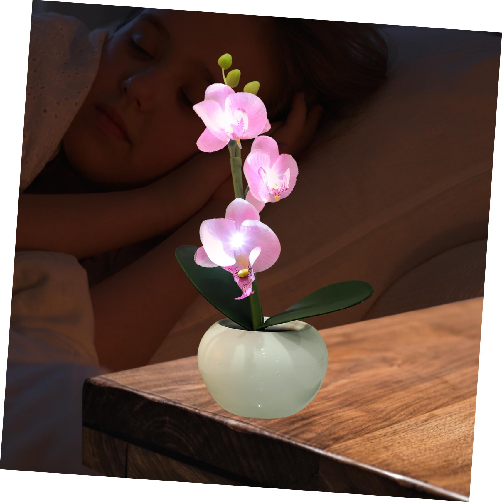LED Blumenlicht 3v Keramik Phalaenopsis, Ambientebeleuchtung für Balkon