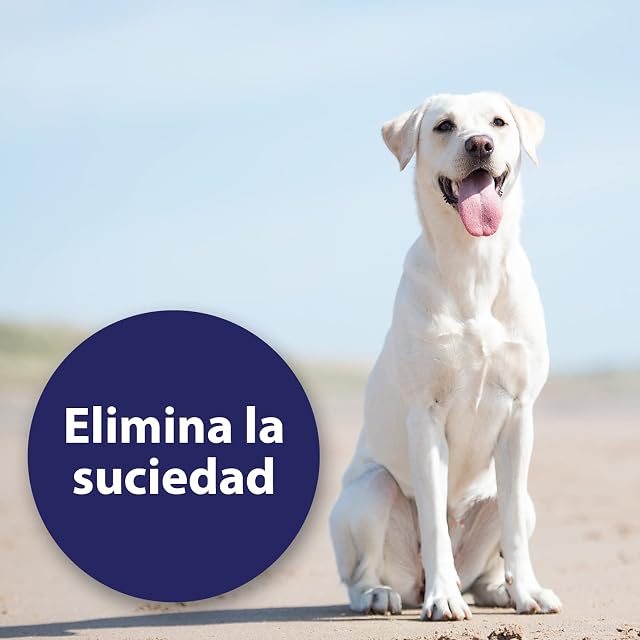 Foto 2 de 6 de Canosept Limpiador Oidos Perros 125ml - Spray antiséptico para perros