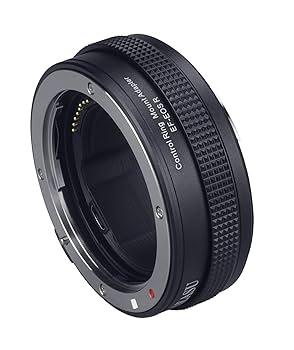 Amazon.com : Control Ring Mount Adapter EF-EOS R for Canon