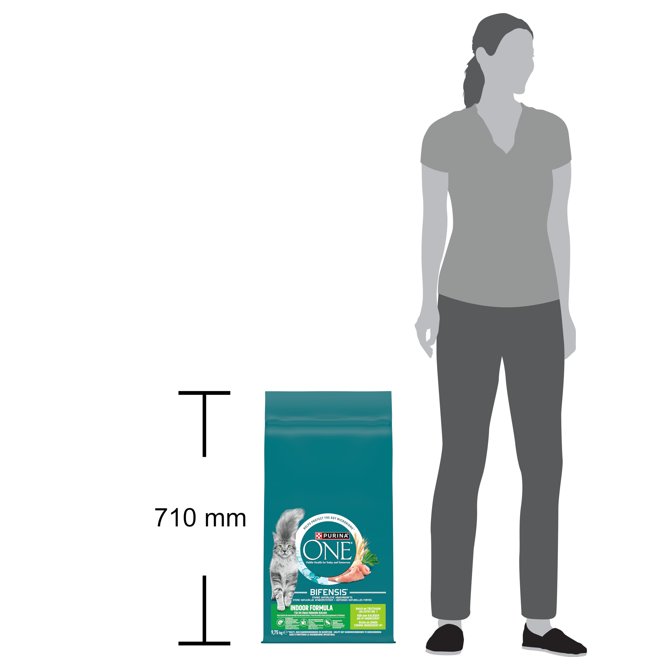 PURINA ONE Bifensis Indoor Formula Crocchette per Gatti Adulti con Tacchino e Cereali Integrali Sacco da 9.75kg