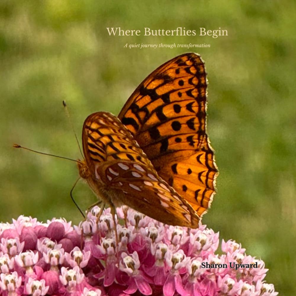Where Butterflies Begin: A Quiet Journey Through Transformation