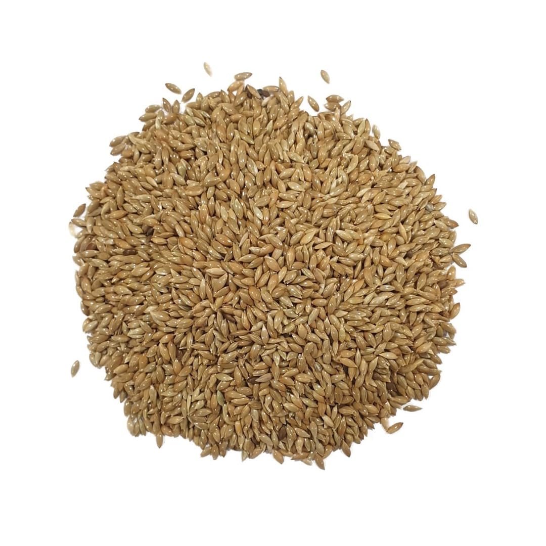 Piumer Alpiste para Canarios y Pequeñas Aves, Saco de 25 kg
