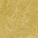 Medna Roso / Pjev - Kit Downes - Hayden Chishom...