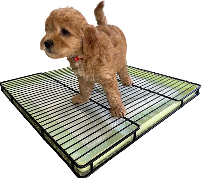 Little Wolves Puppy Potty Tray Essentials 22x22 Reusable