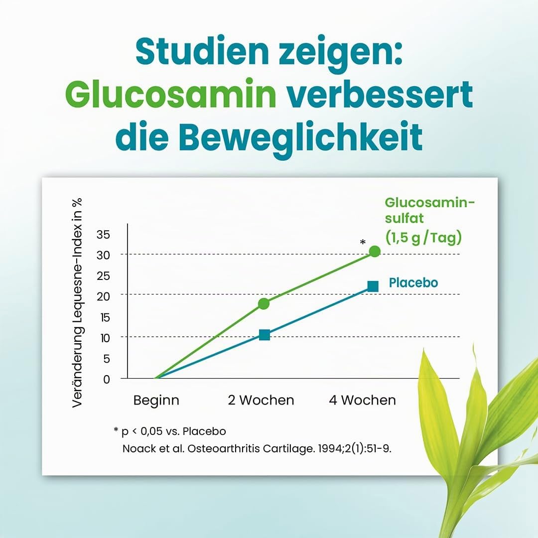 Alsiroyal Hagebuttenpulver plus Glucosamin · Gelenk-Knorpel-Komplex Aktiv | Für den Gelenk-Knorpel · Hagebuttenpulver in Rohkostqualität · 600 mg veganes Glucosamin · Vit. C aus Acerola · gut löslich