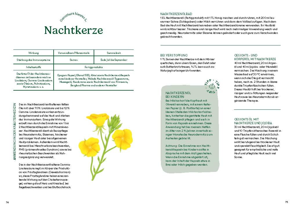 Heilen mit pflanzlichen Antibiotika: Mit 200 Rezepturen für Ihre Gesundheit. Kräutermedizin für starke Abwehrkräfte