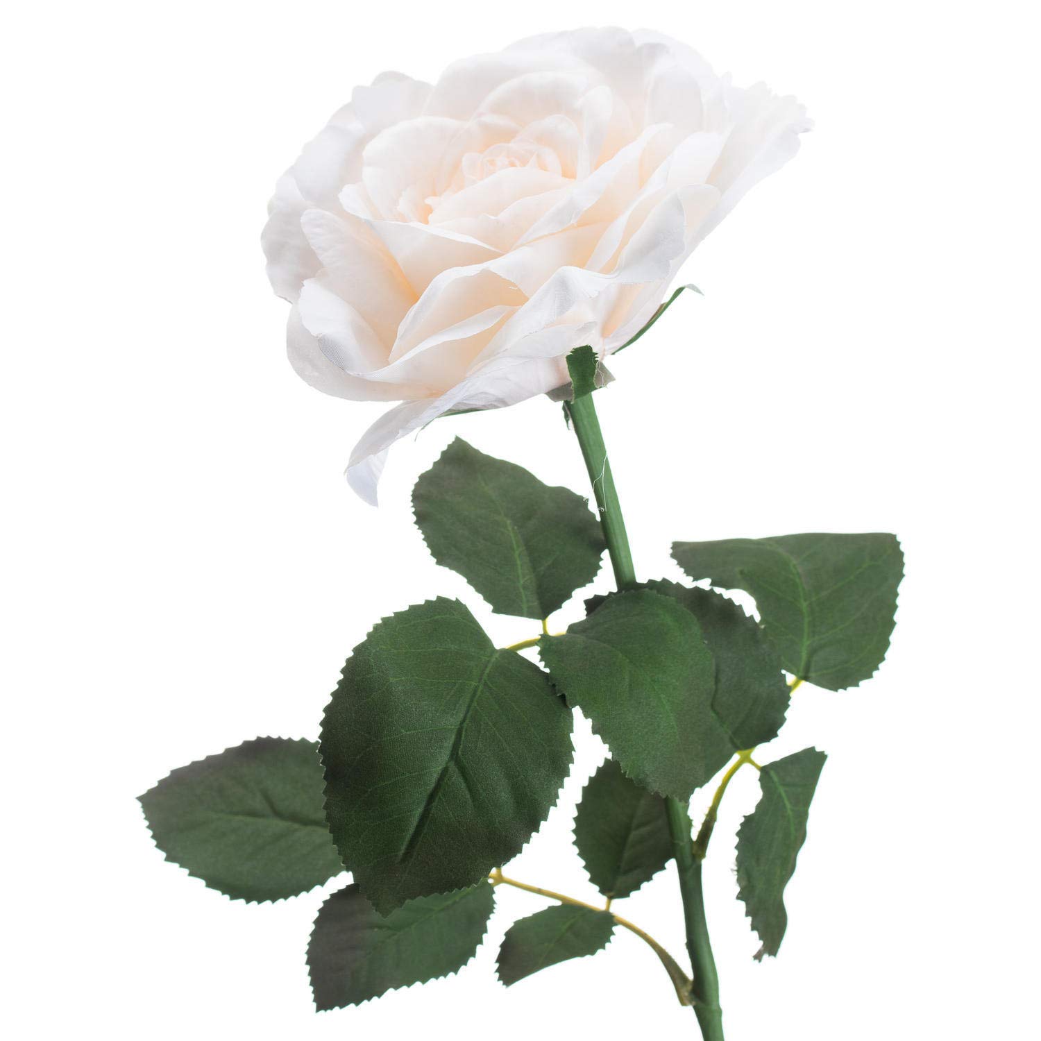 The Recipe Large White Garden Rose, Mixed, 5 x 10 x 75cm - Image 2