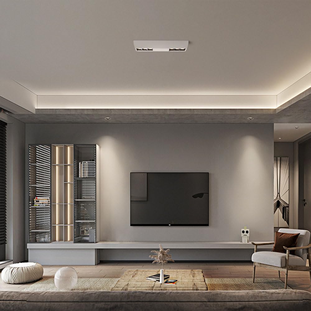Faretti da incasso, faretti da soffitto, faretti da soffitto bianchi, faretti da superficie, illuminazione d'accento, faretti rettangolari da soffitto, faretti semi-incassati, faretti direzionali(3000