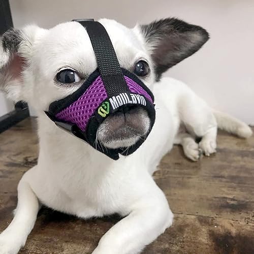 Vista 34 de Bozal para perros pequeños, XS para aseo y masticar, bozal de malla suave, sin ladridos, ajustable para evitar que se coman heces (color negro)