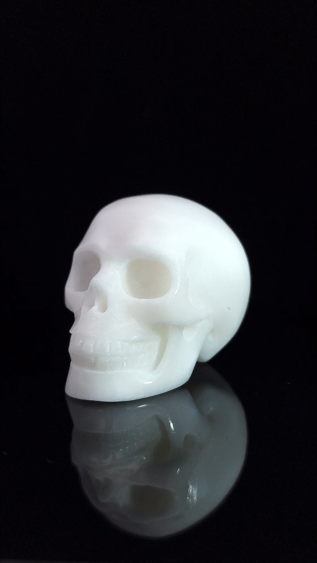 Amazon.com: Skullis 2.0