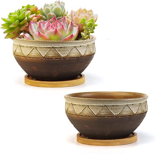 Succulent Pot Summer Impressions - Maceta redonda de cerámica esmaltada a mano de 6 pulgadas con drenaje y platillo, juego de 2 macetas de arcilla