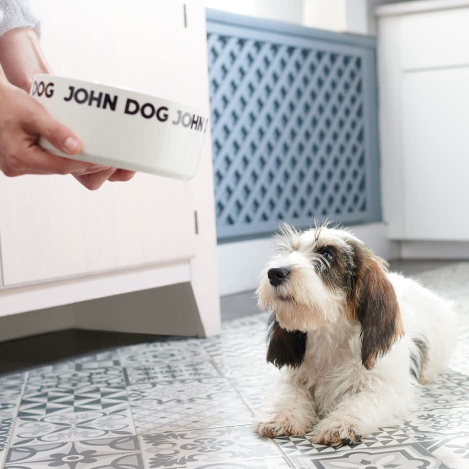 Vind het beste natvoer voor honden met onze voerreviews
