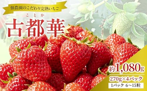 いちご 完熟 古都華 約1,080g(270g× 4パック ) 佃農園のこだわり フルーツ 果物