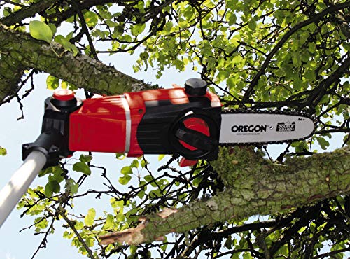 Einhell 3410800 GE-HC 18 Li T-Solo - Herramienta Multifunción Jardín, Pack Motosierra y Cortasetos, Mango Telescópico Bloqueable, 18 V, Velocidad de Corte 3.76 m/s, Rojo, sin Batería ¿Qué herramientas debemos utilizar para podar un algarrobo