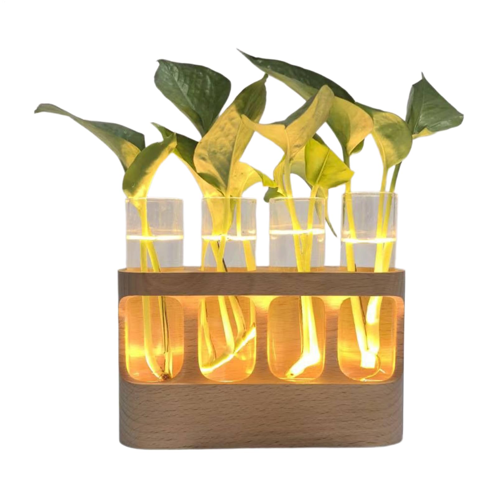 Vase De Propagation Terrarium avec Éclairage LED Réglable