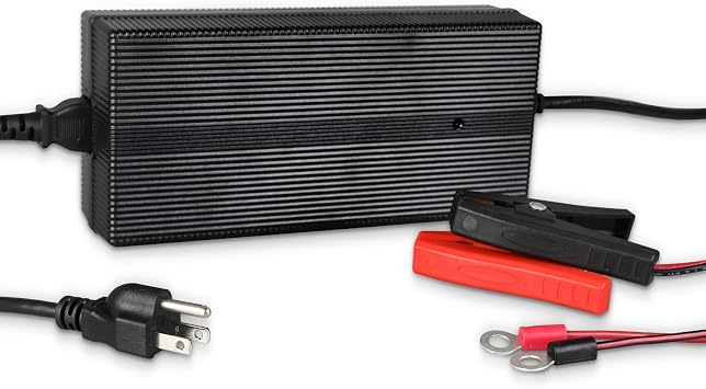 Renogy 24V 10A AC-to-DC LFP Portable Battery Charger Plug-and-Play with 14AWG Alligator Clips for Lithium-Iron Phosphate Batteries, Suitable for RVs, Motorbikes, Boats, Camper-Van