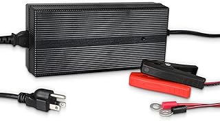 Renogy 24V 10A AC-to-DC LFP Portable Battery Charger Plug-and-Play with 14AWG Alligator Clips for Lithium-Iron Phosphate Batteries, Suitable for RVs, Motorbikes, Boats, Camper-Van