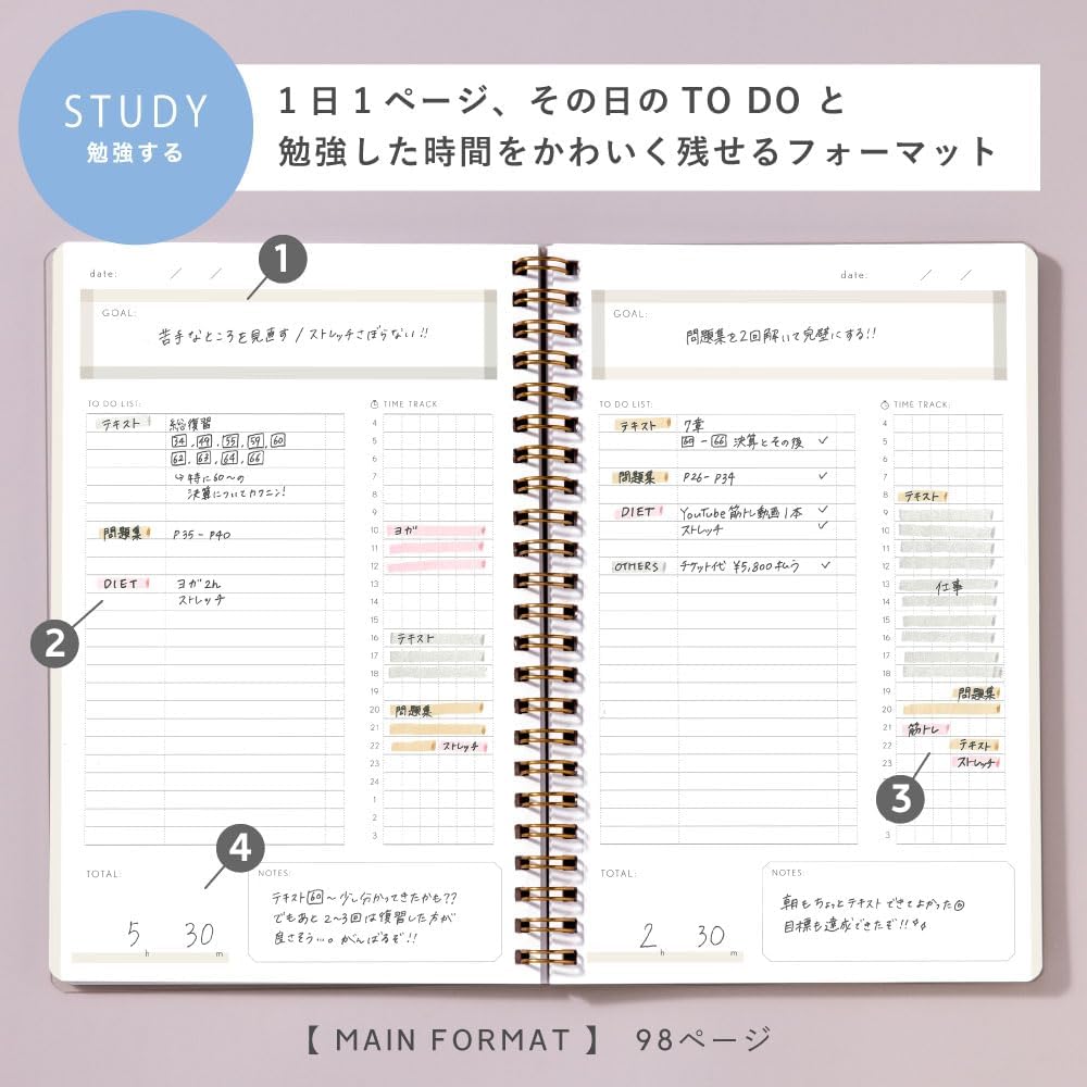 Iroha Publishing Study Planner DAILY GSSD-11 AURORA