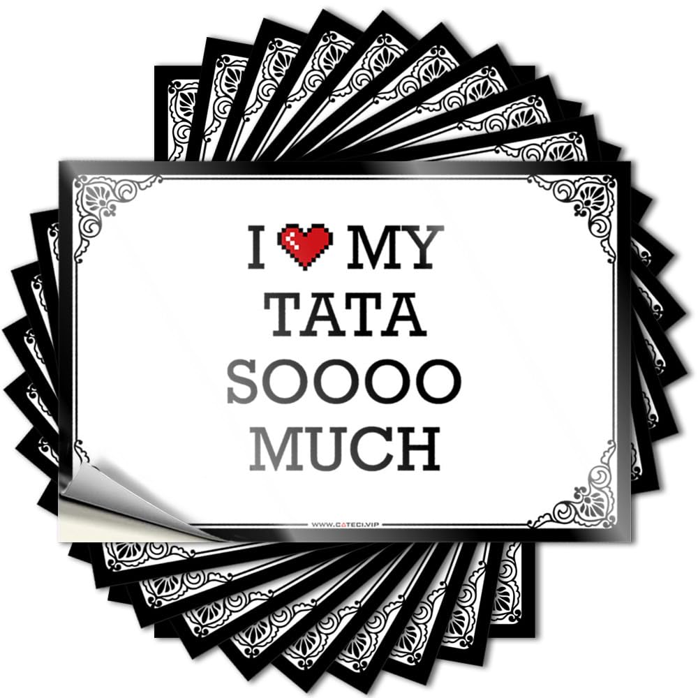 Backyard Accessories Window Tattoo | I Love My Tata Soooo Much Plastic for Math Decor(12X18CM)
