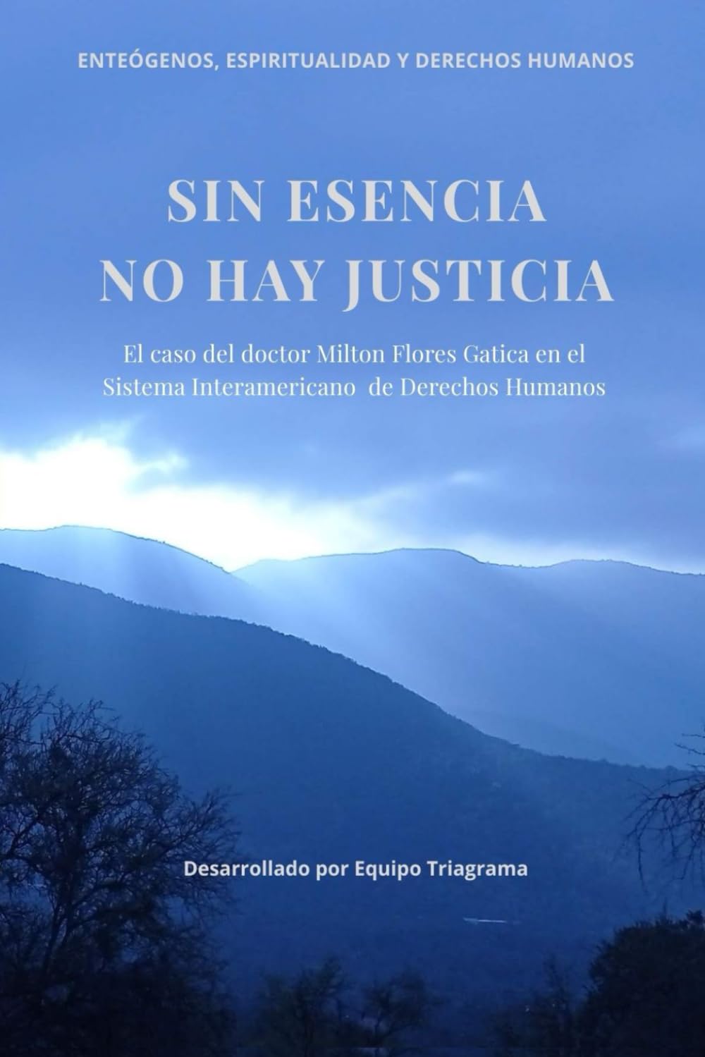 Sin esencia no hay Justicia - Full Color: El caso del doctor Milton Flores Gatica en el Sistema Interamericano de Derechos Humanos