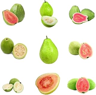 GDYSH-HS 10pcs Mixed Fresh Beautiful Guava Seeds Planting in Any Garden Bring Visual Enjoyment Suitable Fruits to Share with Family Friends