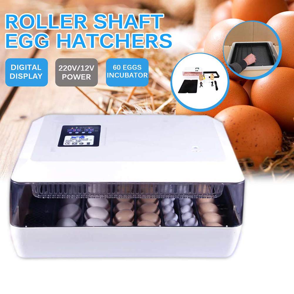 Las mejores incubadoras de regalo para niños, 60 huevos, volteador automático, incubadora de aves de corral, máquina criadora con control de termostato comercial digital, para incubar pollos, patos