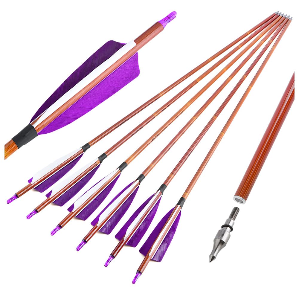 12 flèches en Carbone de 30 Pouces avec Plumes Naturelles de 4 Pouces - universelles pour Les arcs Classiques et composés, parfaites pour la Chasse et la Pratique du tir à l'arc