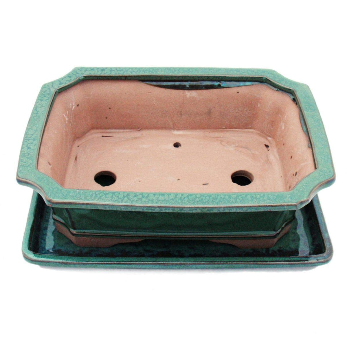 Bonsaï Taille 4 – Vert – Rectangulaire – Modèle G4 – L Bol avec sous assiette 26 cm – Largeur 20 cm – H 8 cm