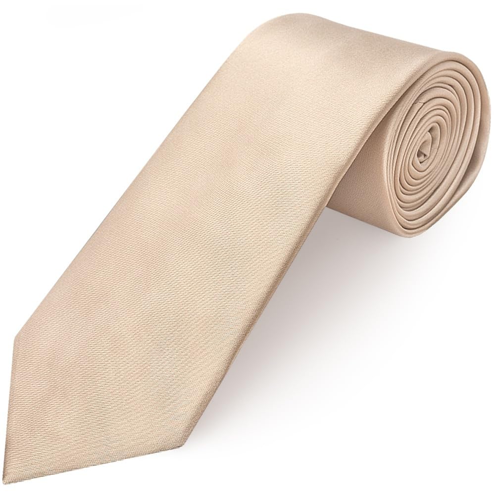 Ties R Us Men's Orange Plain Nude Satin Classic Tie