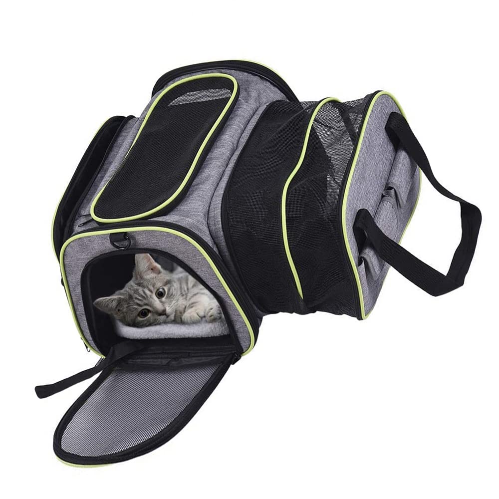 Generic Borsa da Trasporto per Animali Domestici in Materiale 600D con Tappetino in Pile, Trasportino da Viaggio Pieghevole con Lato Morbido per Cani e Gatti, Sonno Confortevole, Approvato Dalla