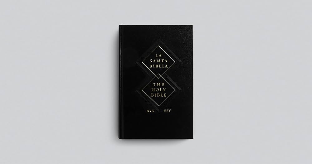 Santa biblia english español 聖書 NLT 71te1tL90RL._UF350,350_QL50_.jpg