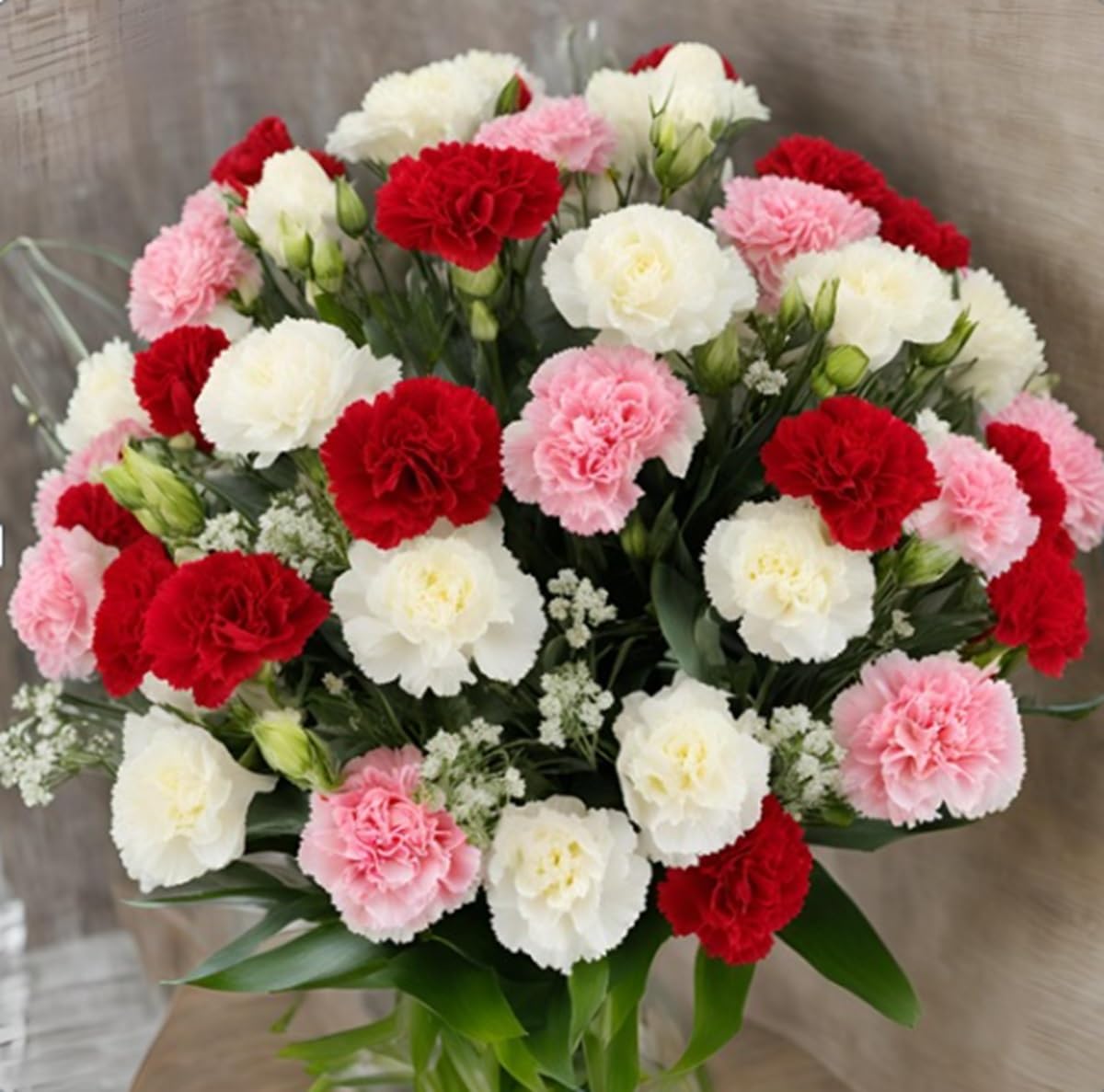 KaBloom - 50 Assorted Carnation - Fresh Flowers for Birthday, Valentine's & Mother's Day