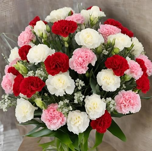 KaBloom - 50 Assorted Carnation - Fresh Flowers for Birthday,
