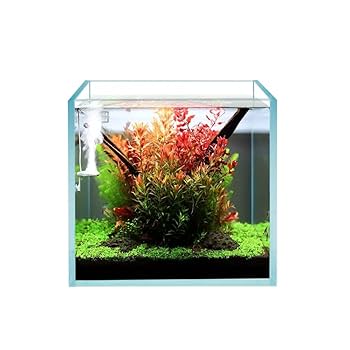 Amazon.co.jp: HIRO Aquatics Cubic Rimless Frameless All